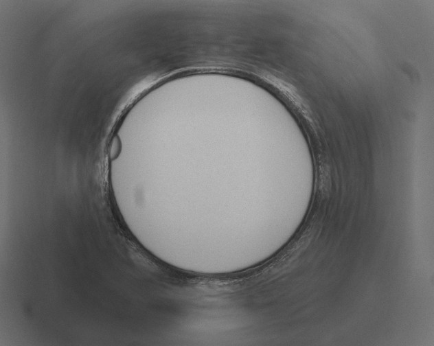 X0000116301366200912291423