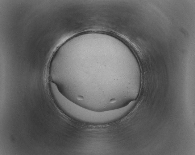 X0000116301367200912291423