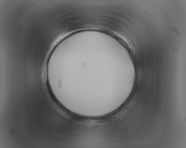 X0000116301371200912291423