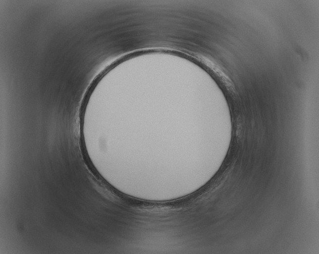 X0000116301372200912291423