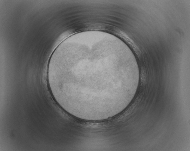 X0000116301378200912291423