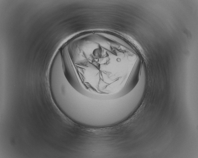 X0000116301380200912291423