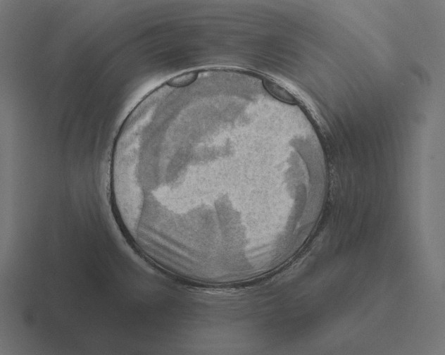 X0000116301383200912291423