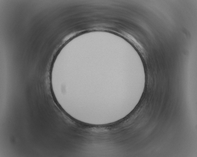 X0000116301384200912291423