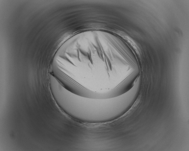 X0000116301385200912291423