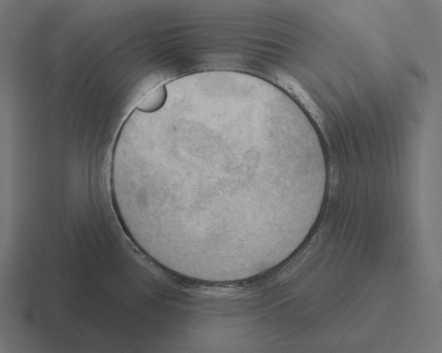 X0000116301386200912291423