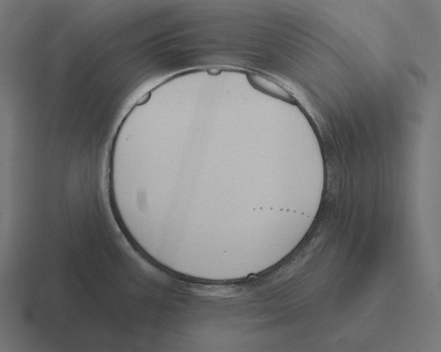 X0000116301387200912291423