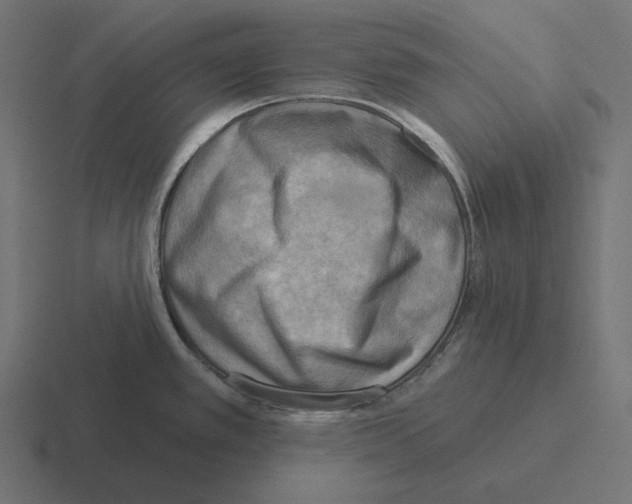 X0000116301389200912291423