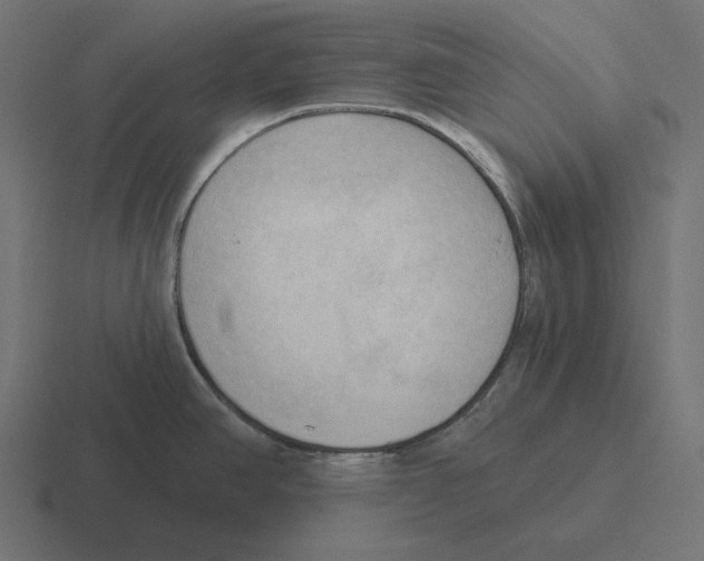 X0000116301390200912291423