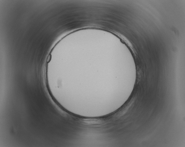 X0000116301391200912291423