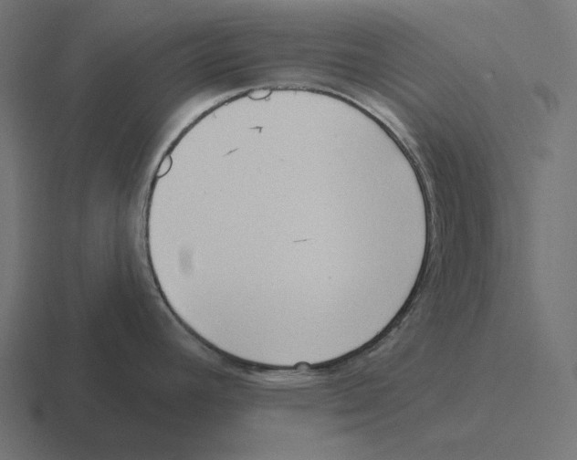 X0000116301392200912291423