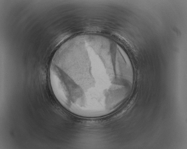 X0000116301401200912291423