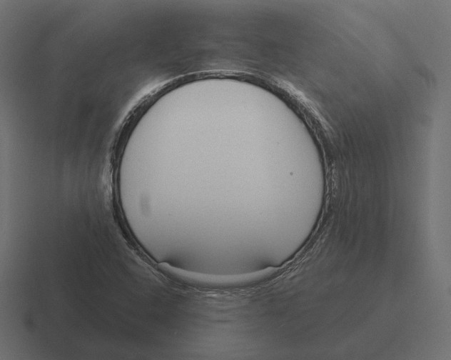 X0000116301408200912291423