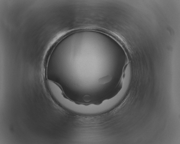 X0000116301414200912291423