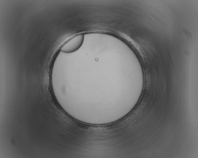 X0000116301415200912291423