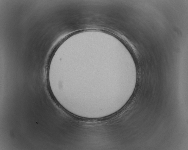 X0000116301416200912291423