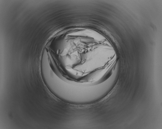 X0000116301417200912291423