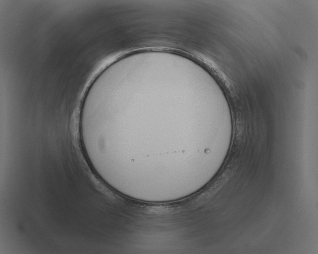 X0000116301421200912291423