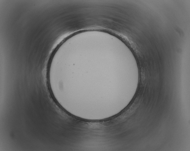 X0000116301422200912291423