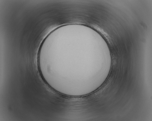 X0000116301423200912291423