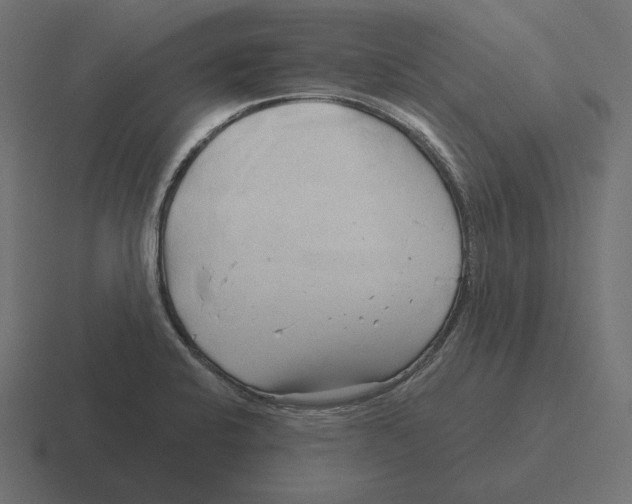 X0000116301424200912291423