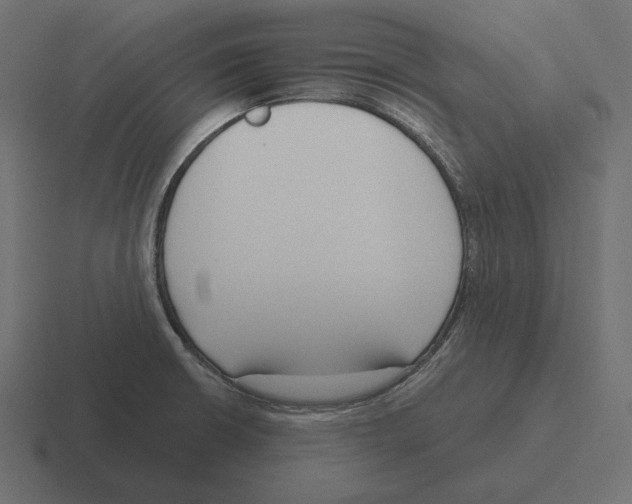 X0000116301426200912291423