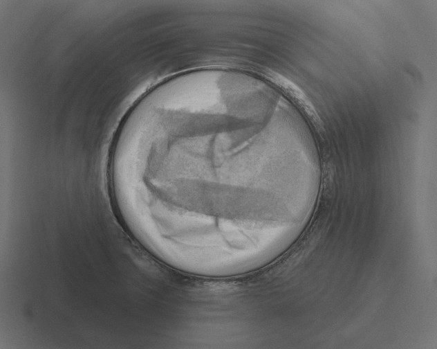 X0000116301427200912291423