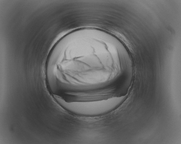 X0000116301428200912291423