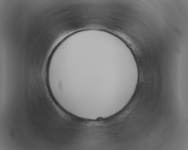 X0000116301430200912291423