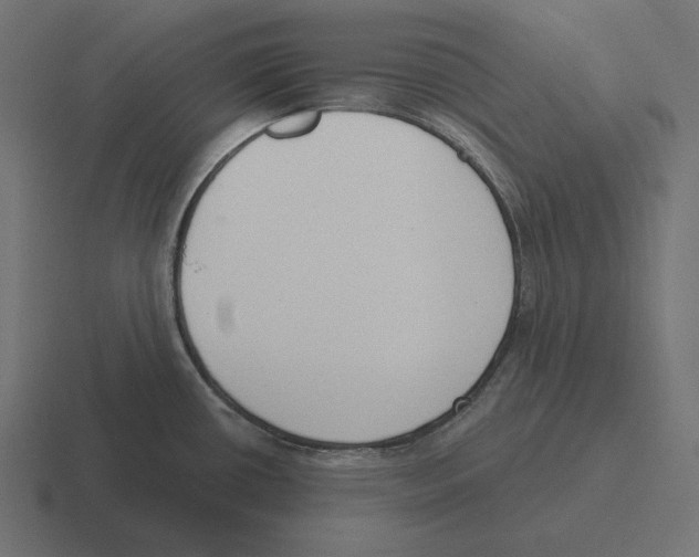 X0000116301434200912291423