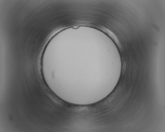 X0000116301435200912291423