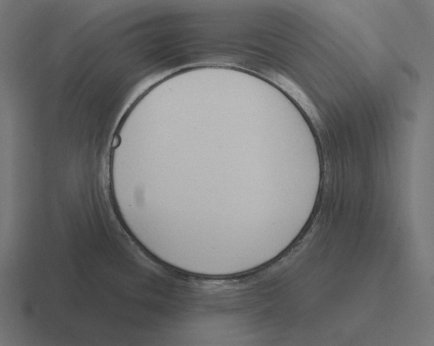 X0000116301436200912291423