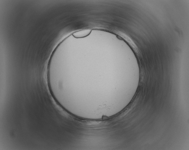 X0000116301439200912291423