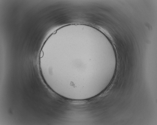 X0000116301440200912291423