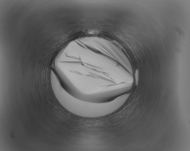 X0000116301443200912291422