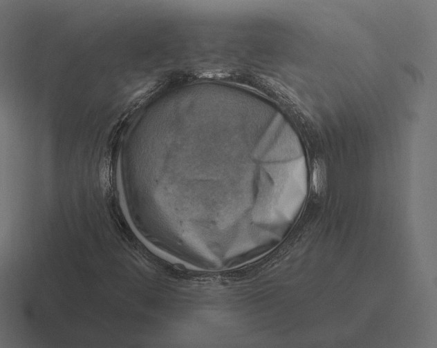 X0000116301444200912291422