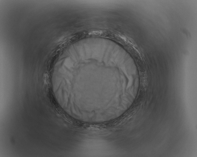 X0000116301445200912291422