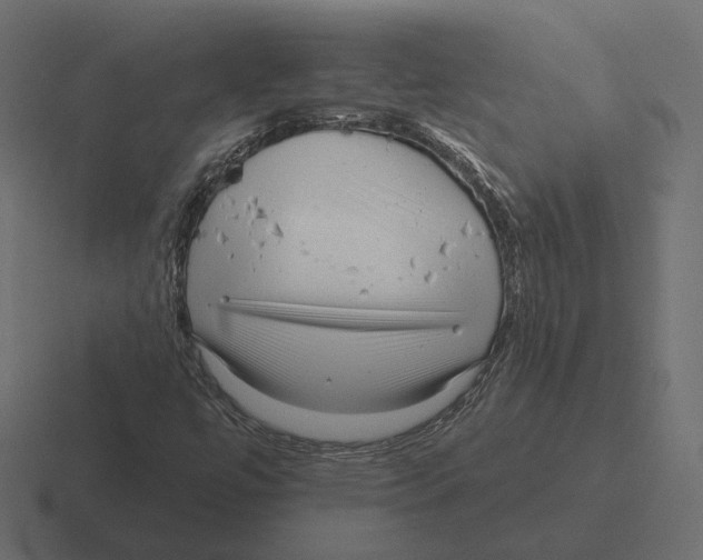 X0000116301447200912291422