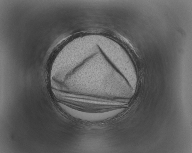 X0000116301448200912291422