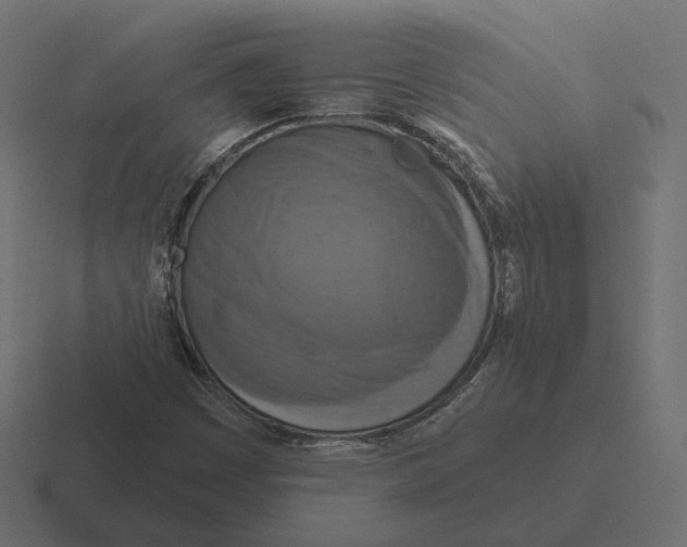 X0000116301449200912291422