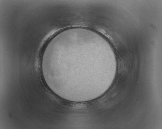 X0000116301454200912291422