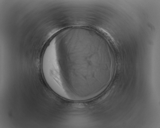 X0000116301457200912291422