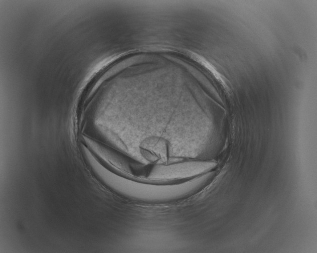 X0000116301461200912291422