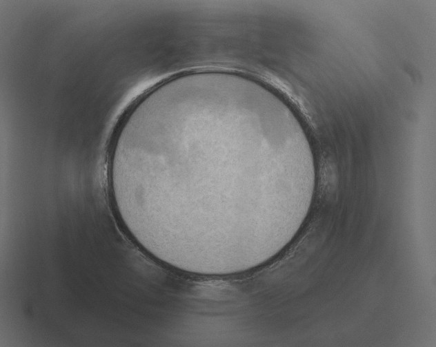 X0000116301462200912291422