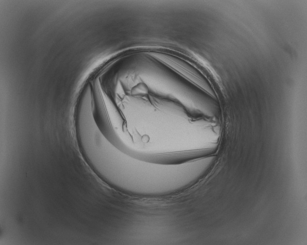 X0000116301464200912291422