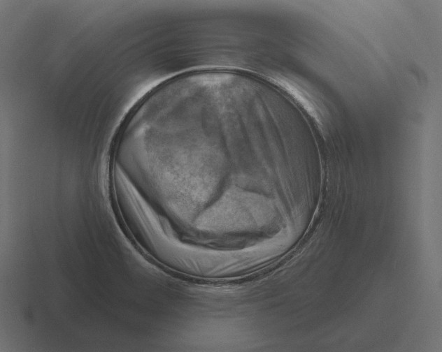 X0000116301468200912291422