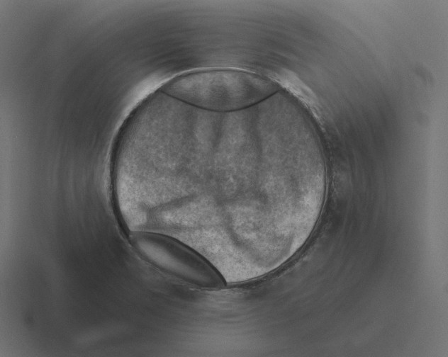 X0000116301469200912291422