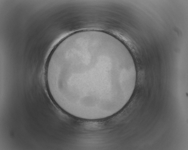 X0000116301470200912291422