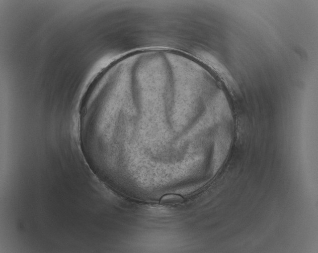 X0000116301472200912291422