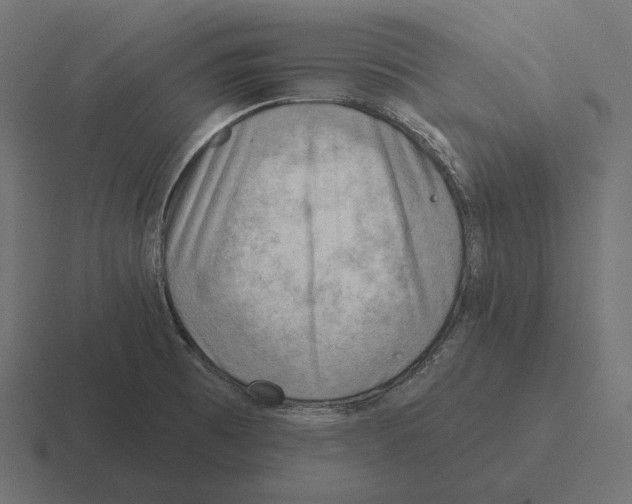 X0000116301473200912291422